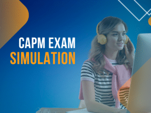 bnr_crs_capm_sim